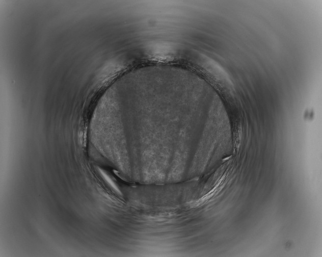 X0000097920180200804111149