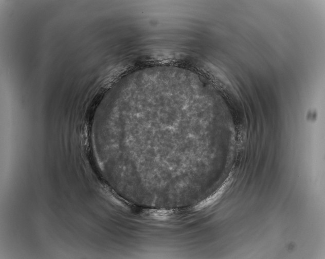 X0000097920182200804111149