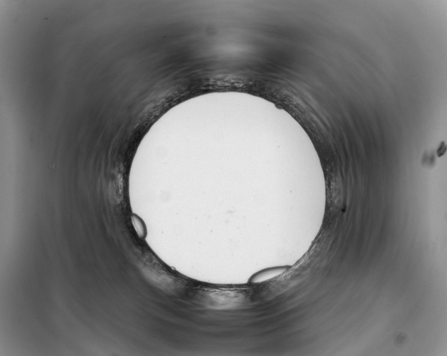 X0000097920183200804111149