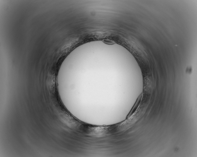 X0000097920184200804111149