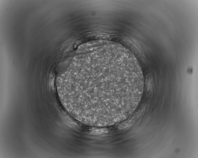 X0000097920185200804111149