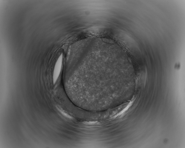 X0000097920186200804111149