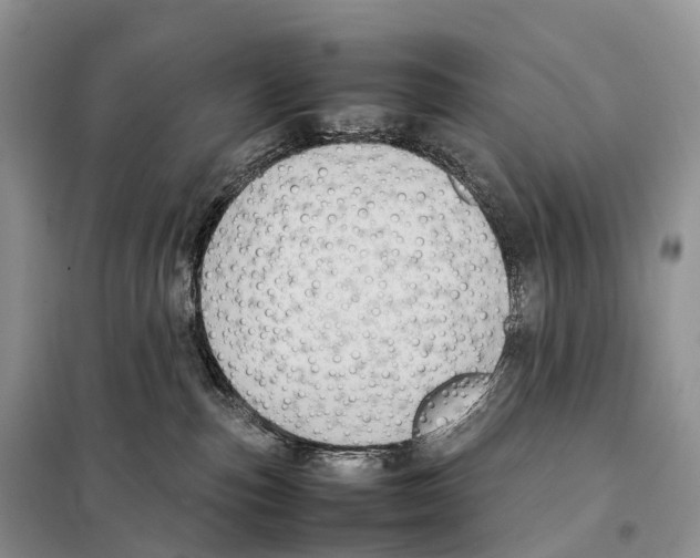 X0000097920187200804111149