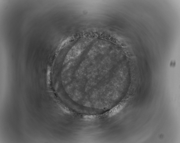 X0000097920192200804111149