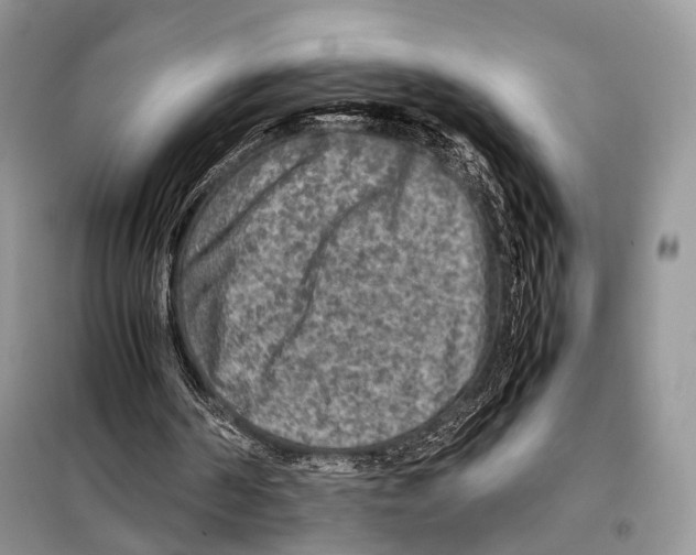 X0000097920194200804111149