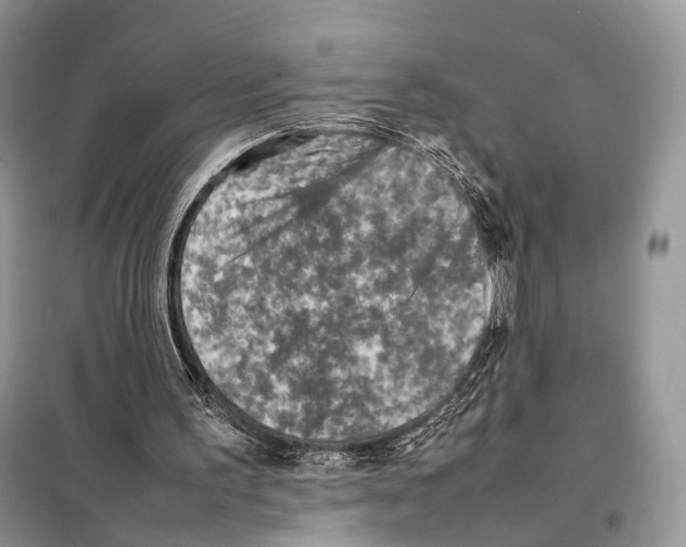 X0000097920195200804111149