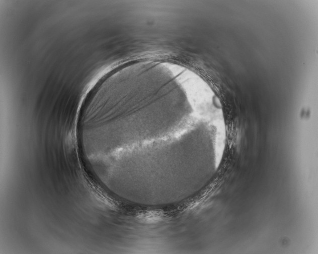 X0000097920196200804111148