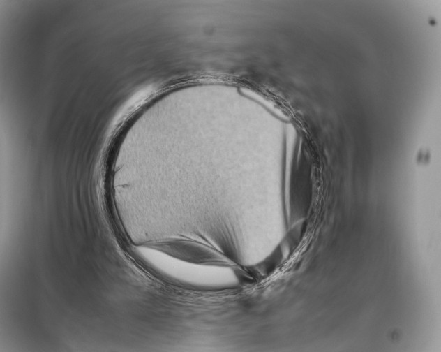 X0000097920197200804111148