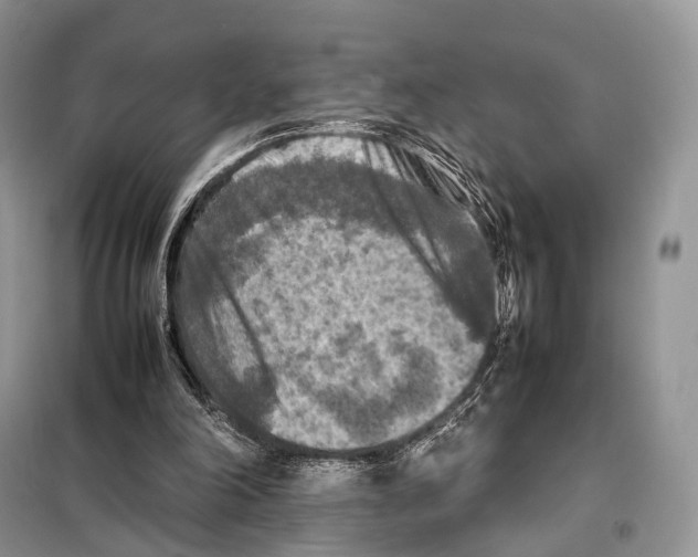 X0000097920198200804111148