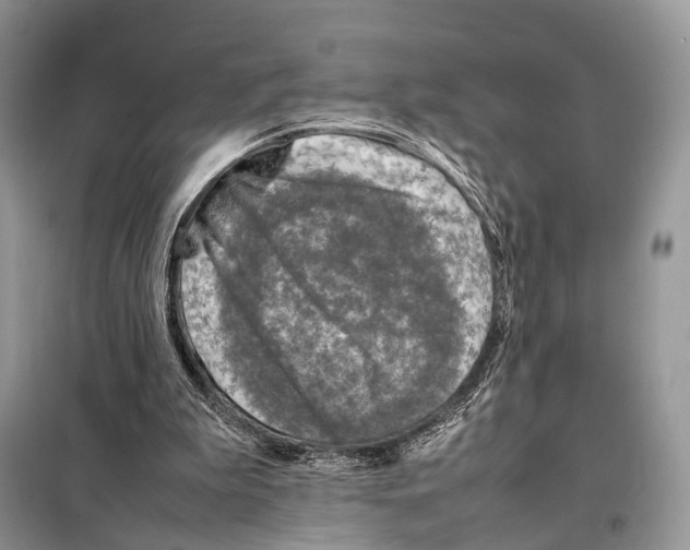 X0000097920199200804111148