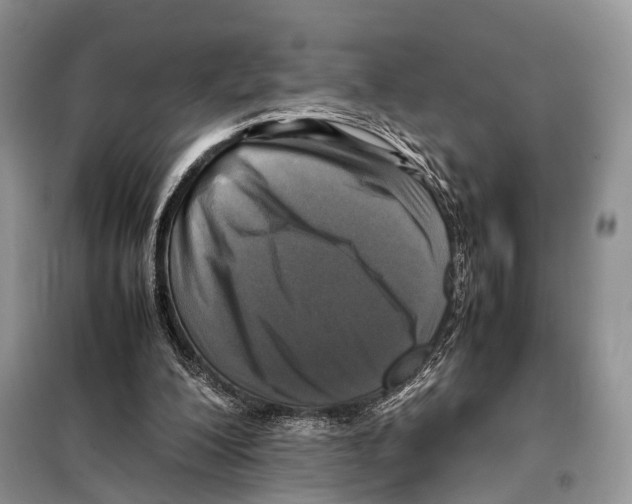 X0000097920200200804111148