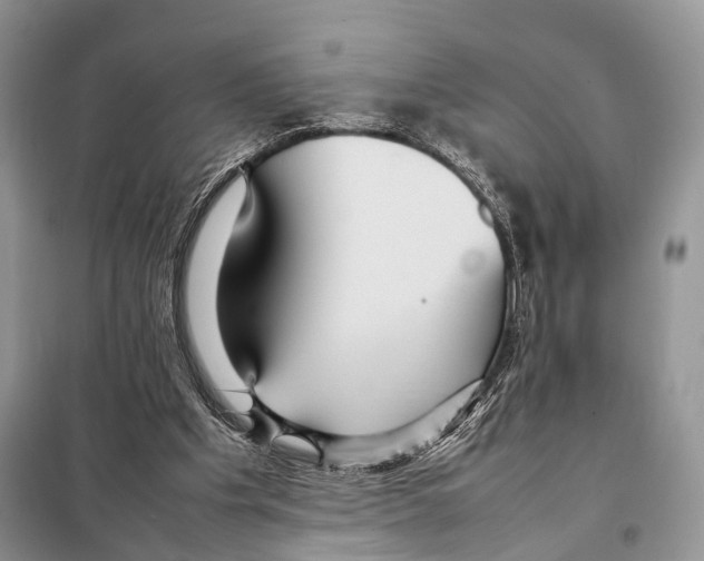 X0000097920201200804111148