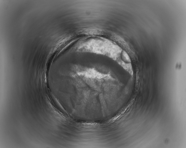 X0000097920202200804111148