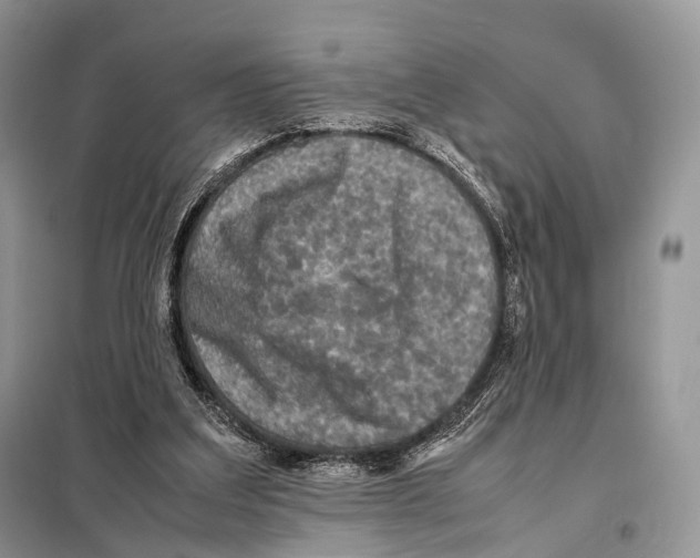 X0000097920203200804111148