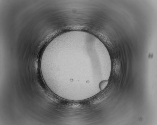 X0000097920206200804111148