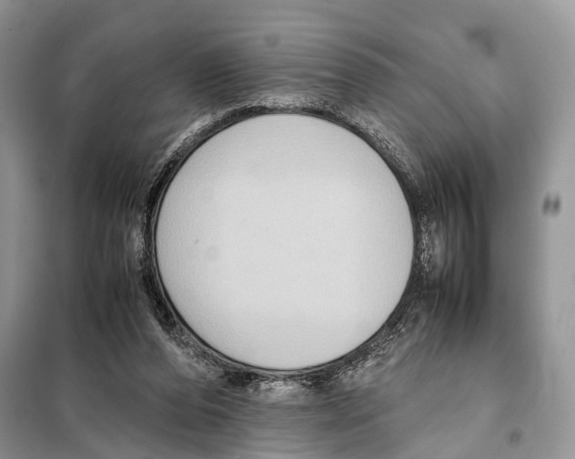 X0000097920208200804111148