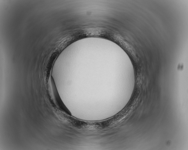 X0000097920209200804111148