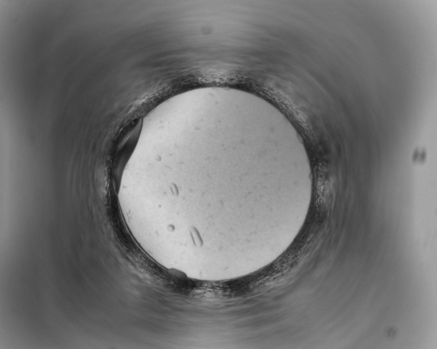 X0000097920211200804111148