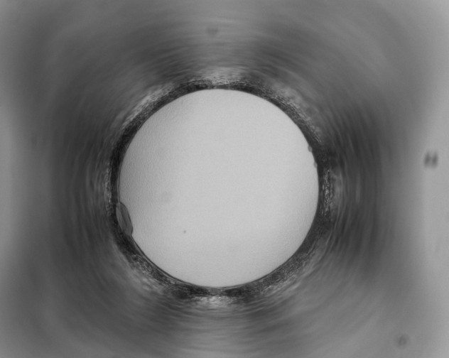 X0000097920212200804111148