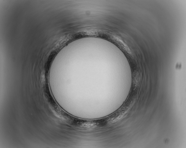 X0000097920213200804111148