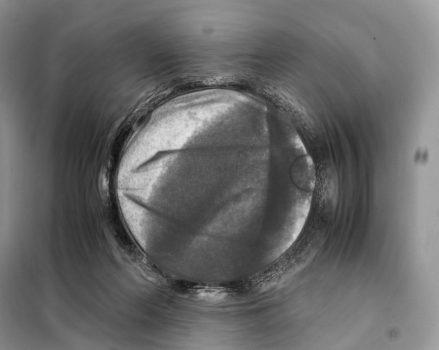 X0000097920214200804111148