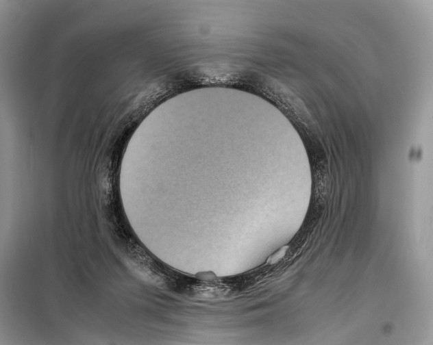 X0000097920215200804111148