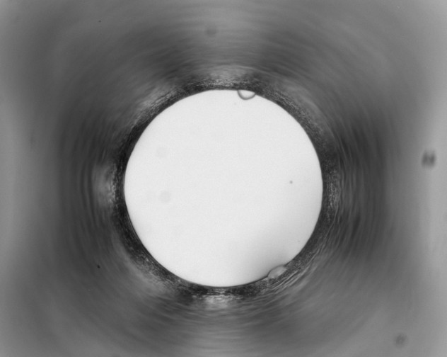 X0000097920216200804111148