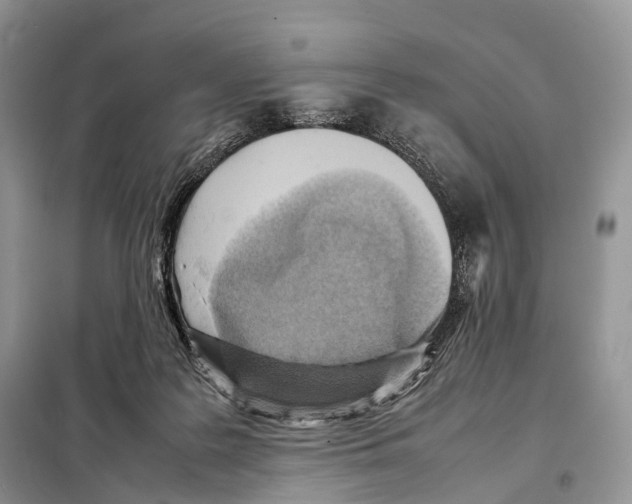 X0000097920219200804111148