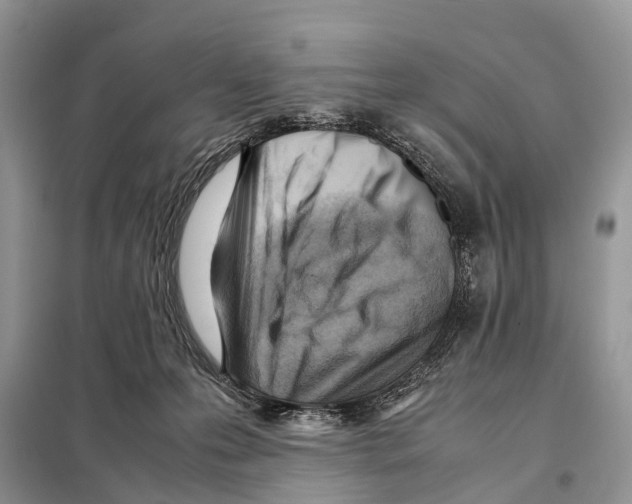 X0000097920223200804111148