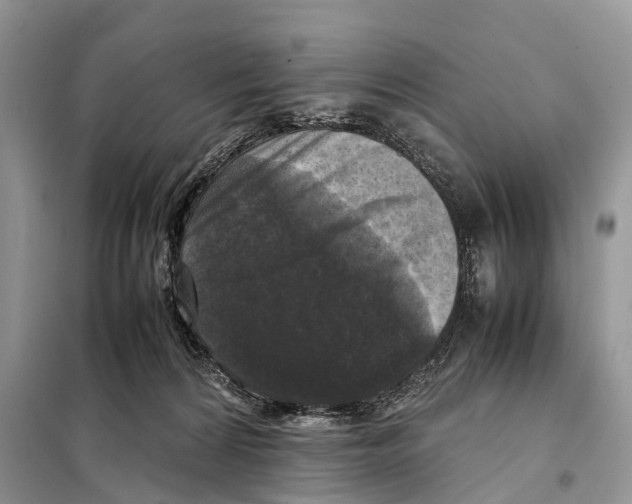 X0000097920224200804111148