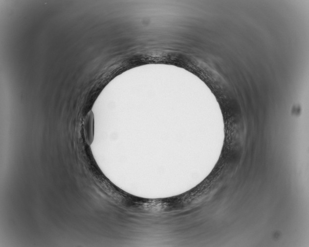 X0000097920225200804111148