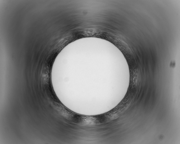 X0000097920226200804111148