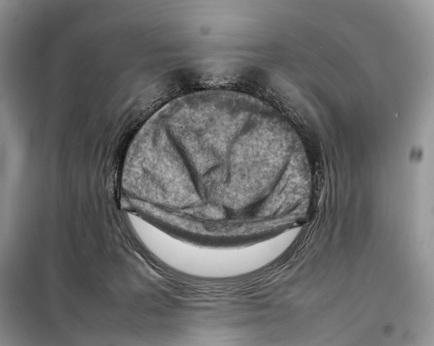 X0000097920227200804111148