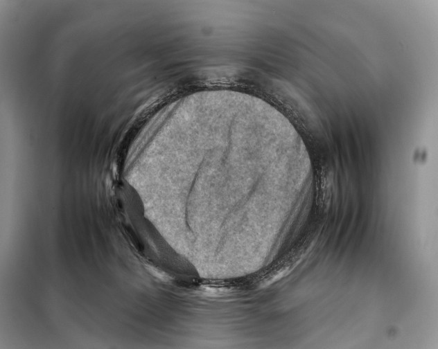 X0000097920228200804111148