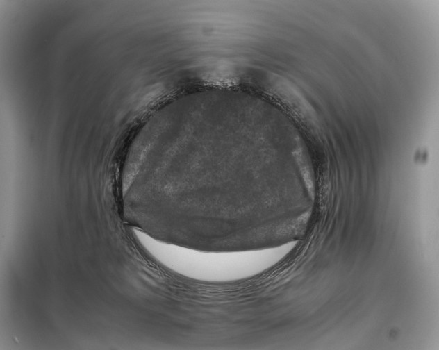 X0000097920229200804111148