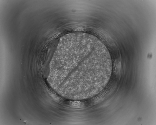 X0000097920230200804111148