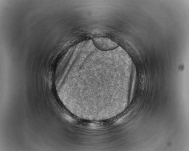 X0000097920232200804111148