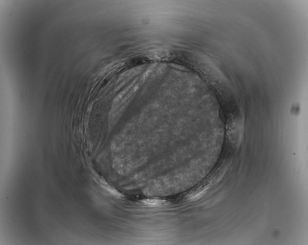 X0000097920233200804111148