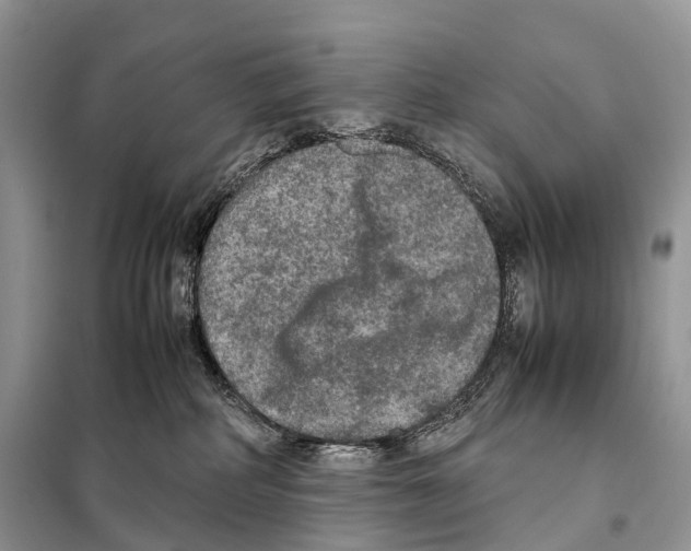 X0000097920234200804111148