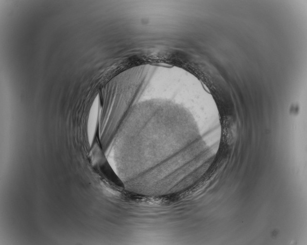 X0000097920235200804111148