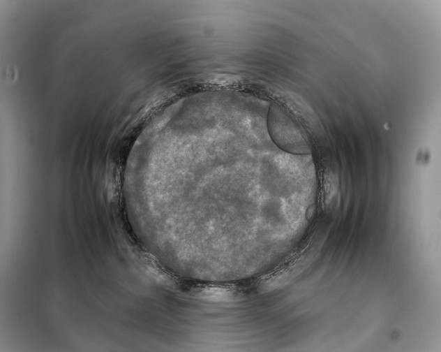 X0000097920236200804111148