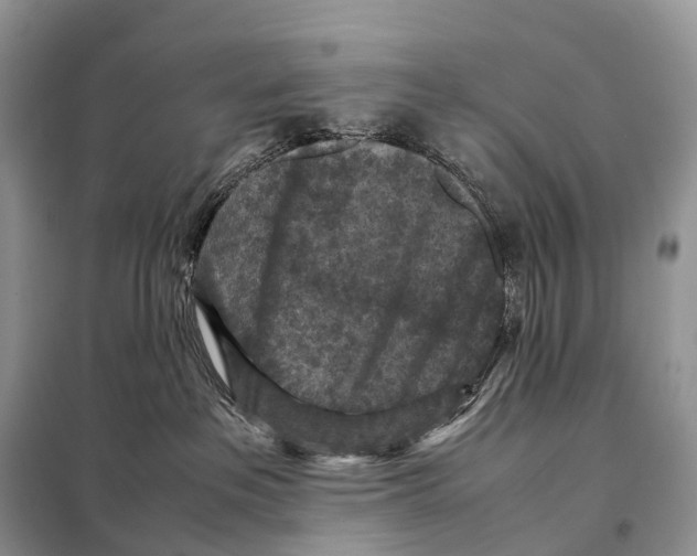 X0000097920237200804111148