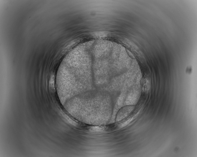 X0000097920238200804111148