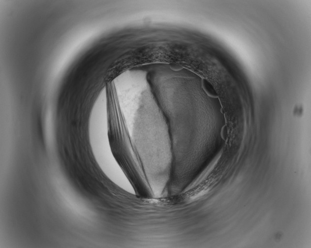 X0000097920239200804111148