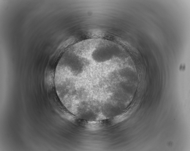 X0000097920240200804111148