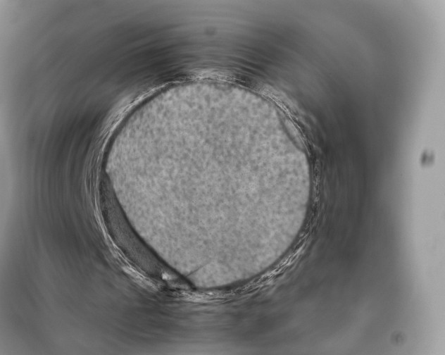 X0000097920241200804111147