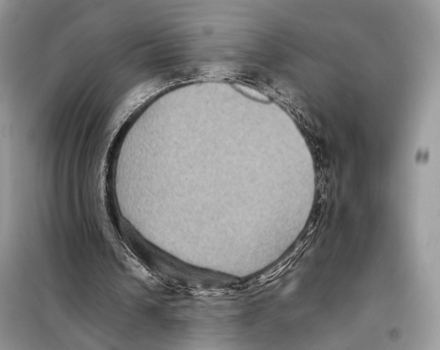 X0000097920242200804111147