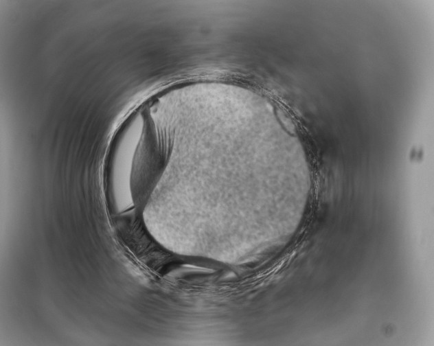 X0000097920244200804111147