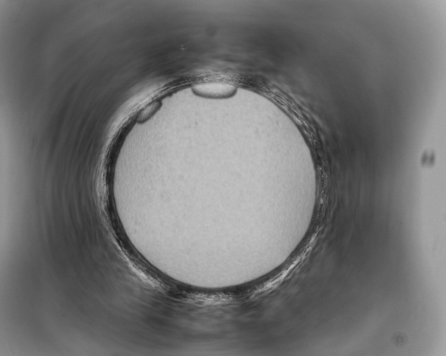 X0000097920245200804111147