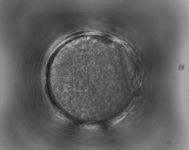 X0000097920247200804111147